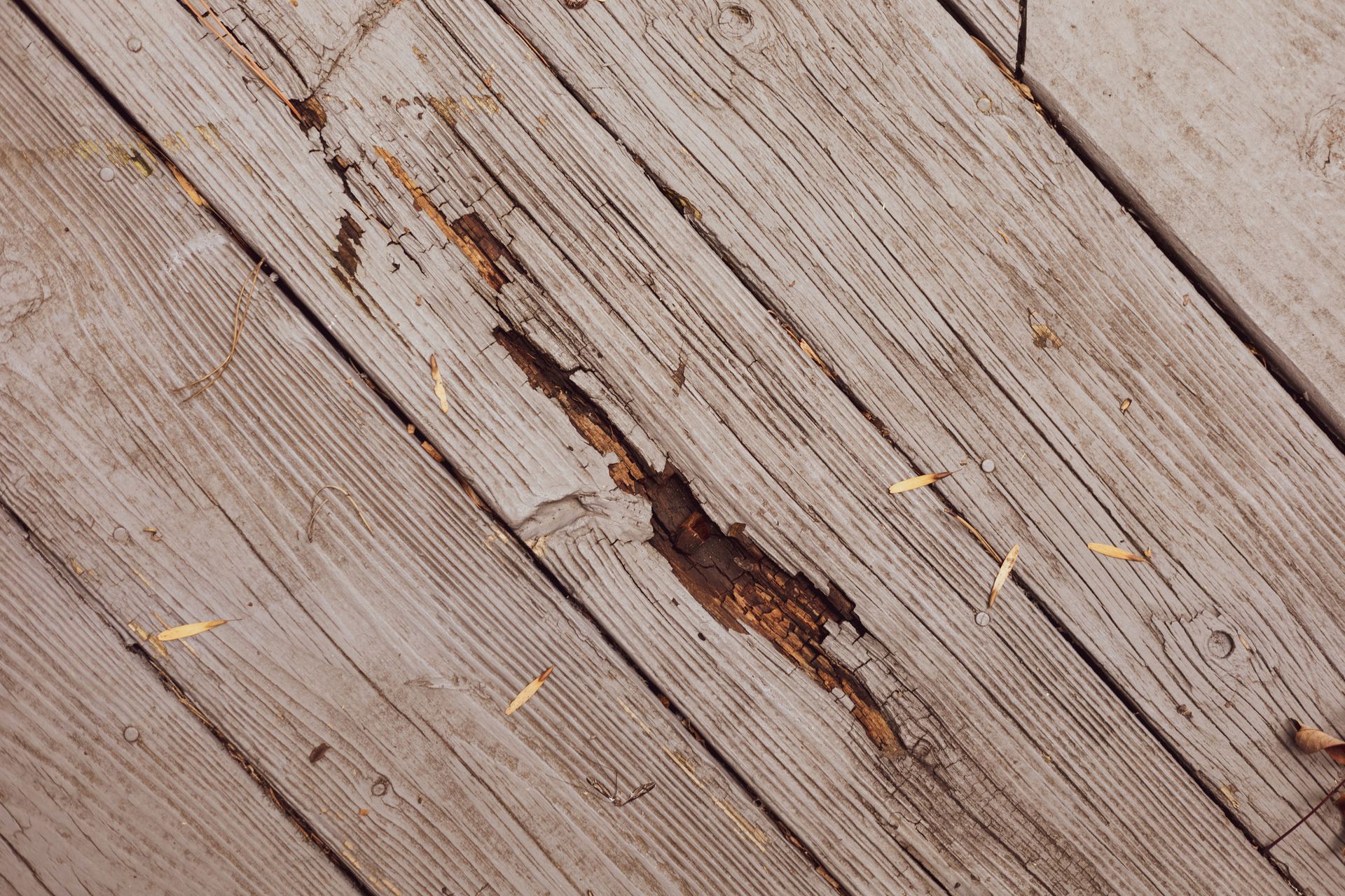 Maintenance and Repair — Carrum Downs, VIC — Andyworks