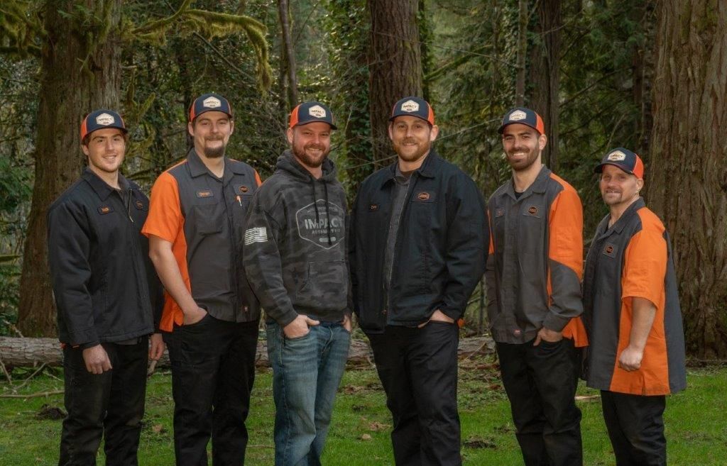 Team photo | Impact Automotive - image #5
