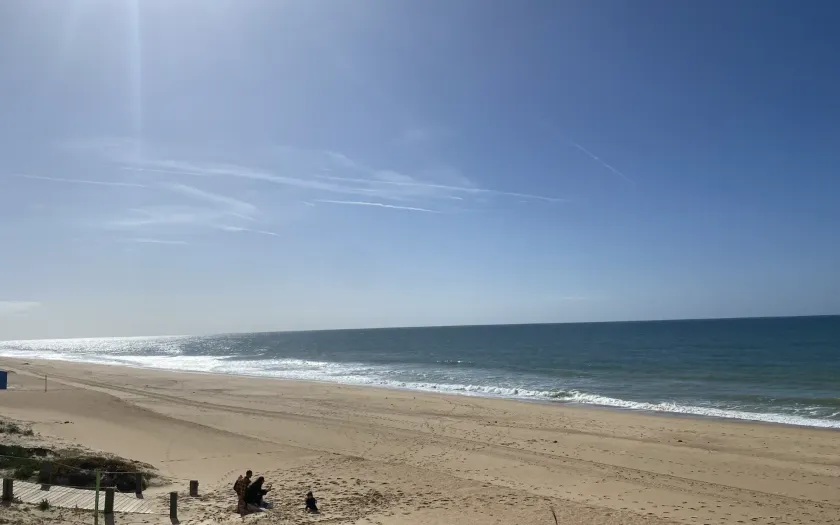 A beach with blue skies and the ocean in the background