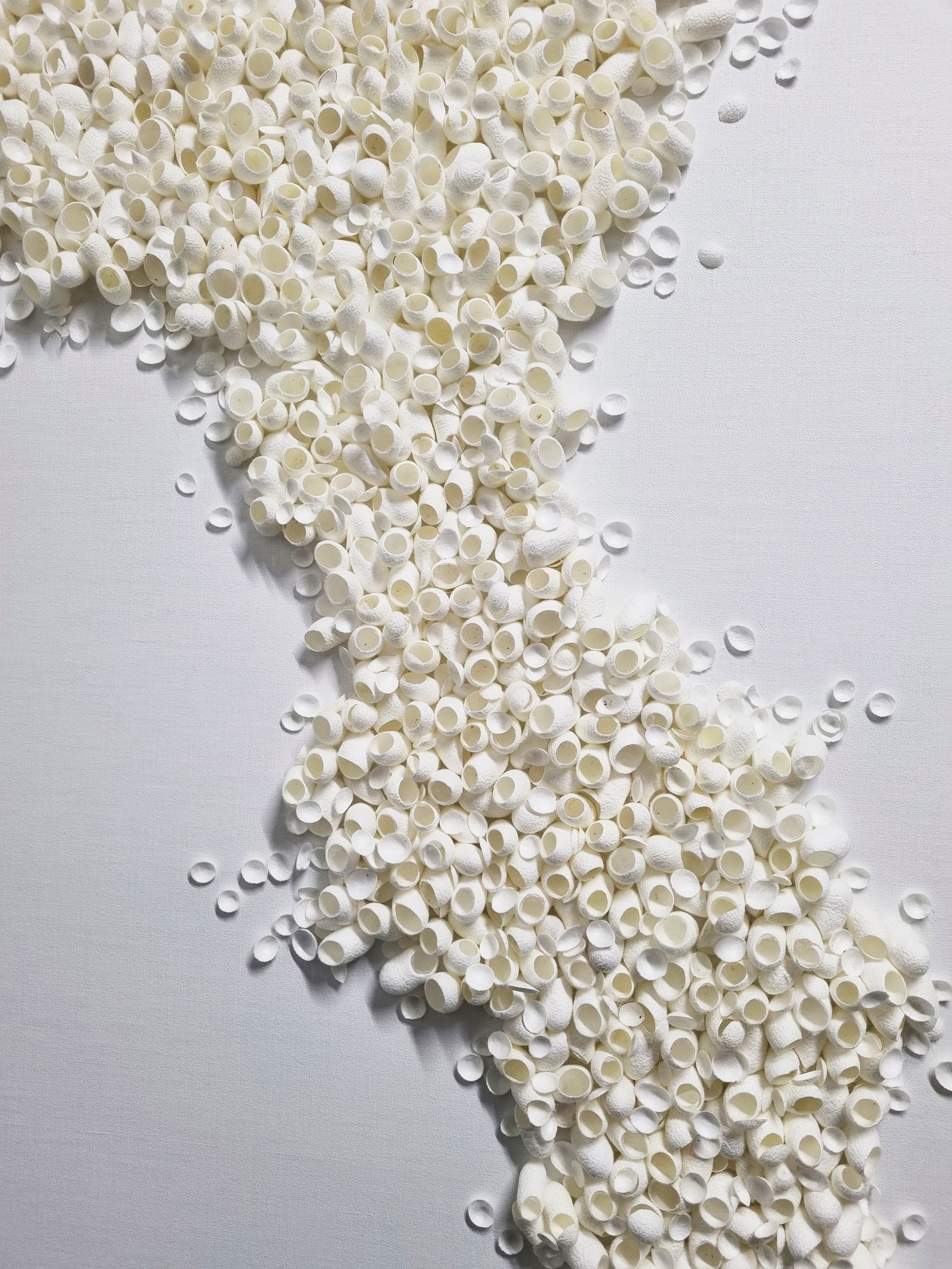 A pile of white cacoons on a white surface