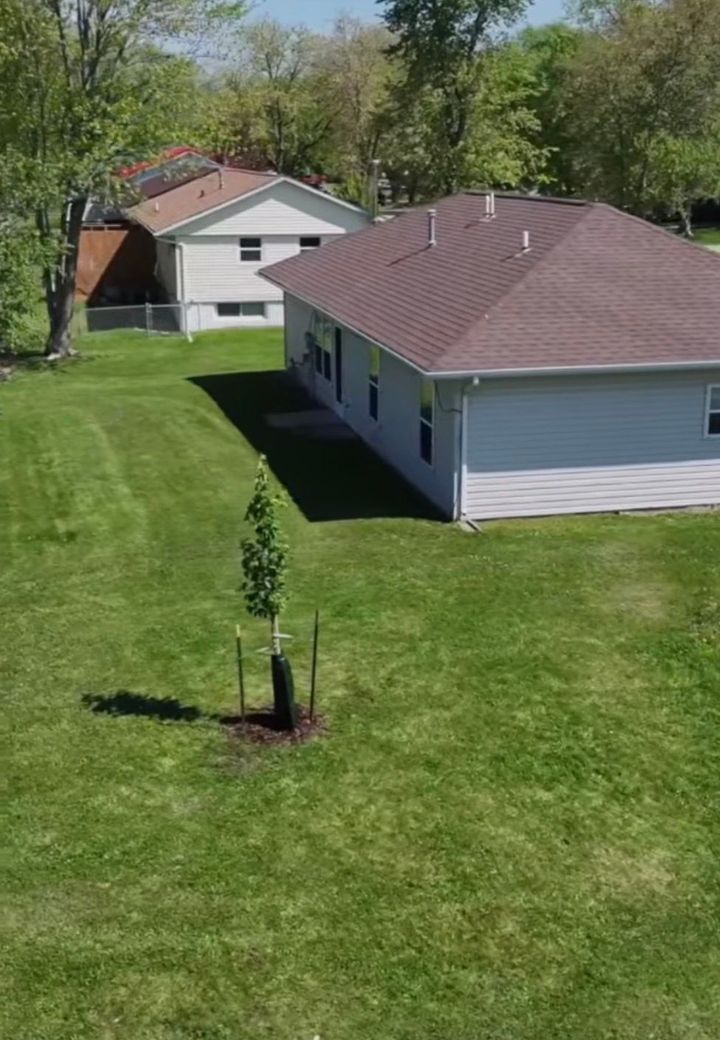 Tree planting in Waukee, IA