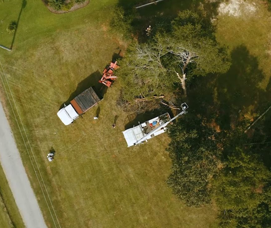 Tree removal in Waukee, IA