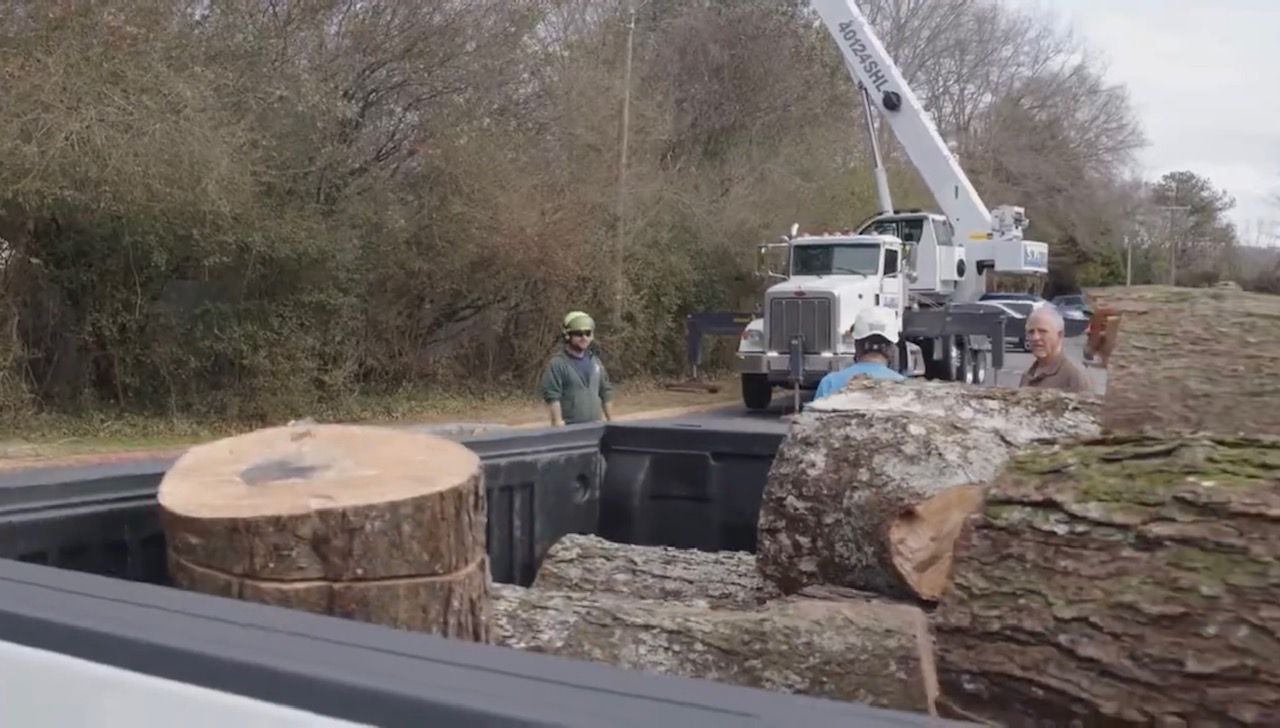Stump Grinding in Waukee, IA