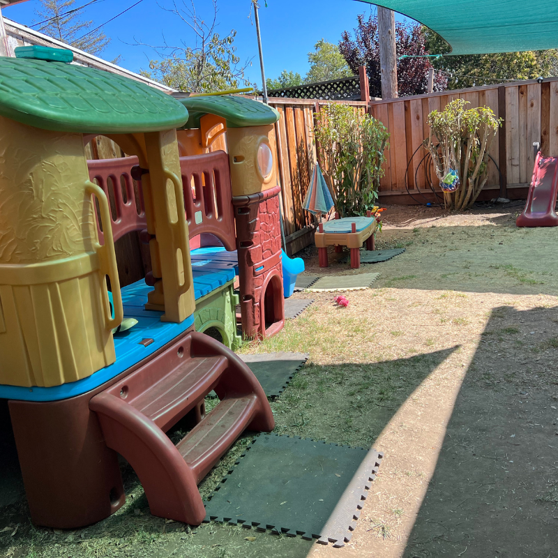 Little Zebra playground image