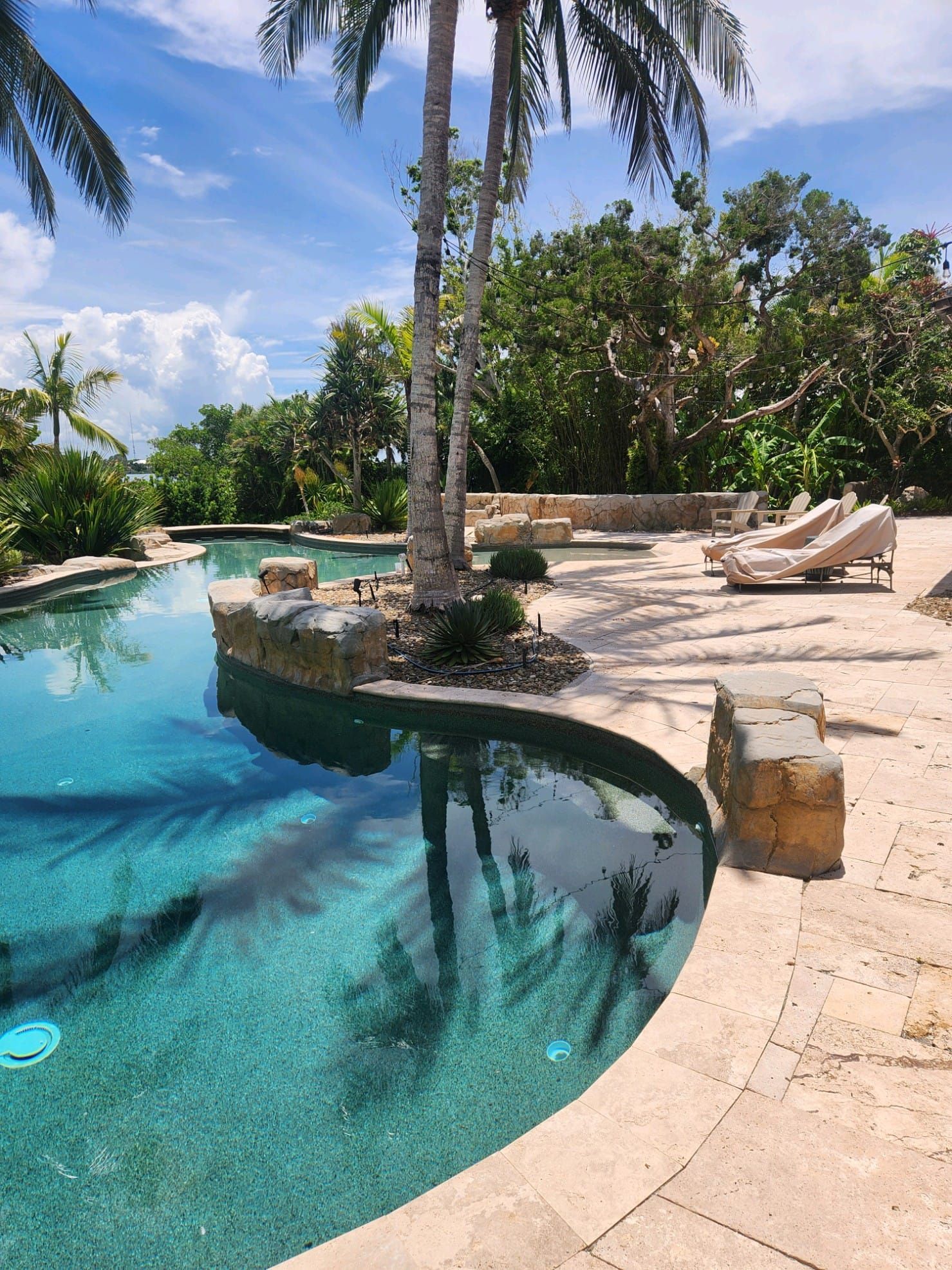 Swimming pool with turquoise water, palm trees, and sunny patio on a bright day.