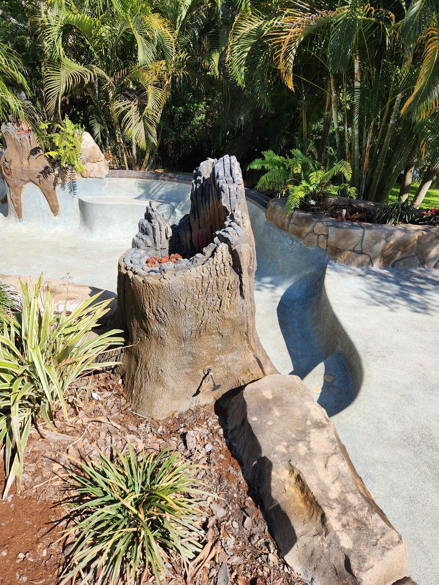 Weathered tree stump with greenery and concrete path.