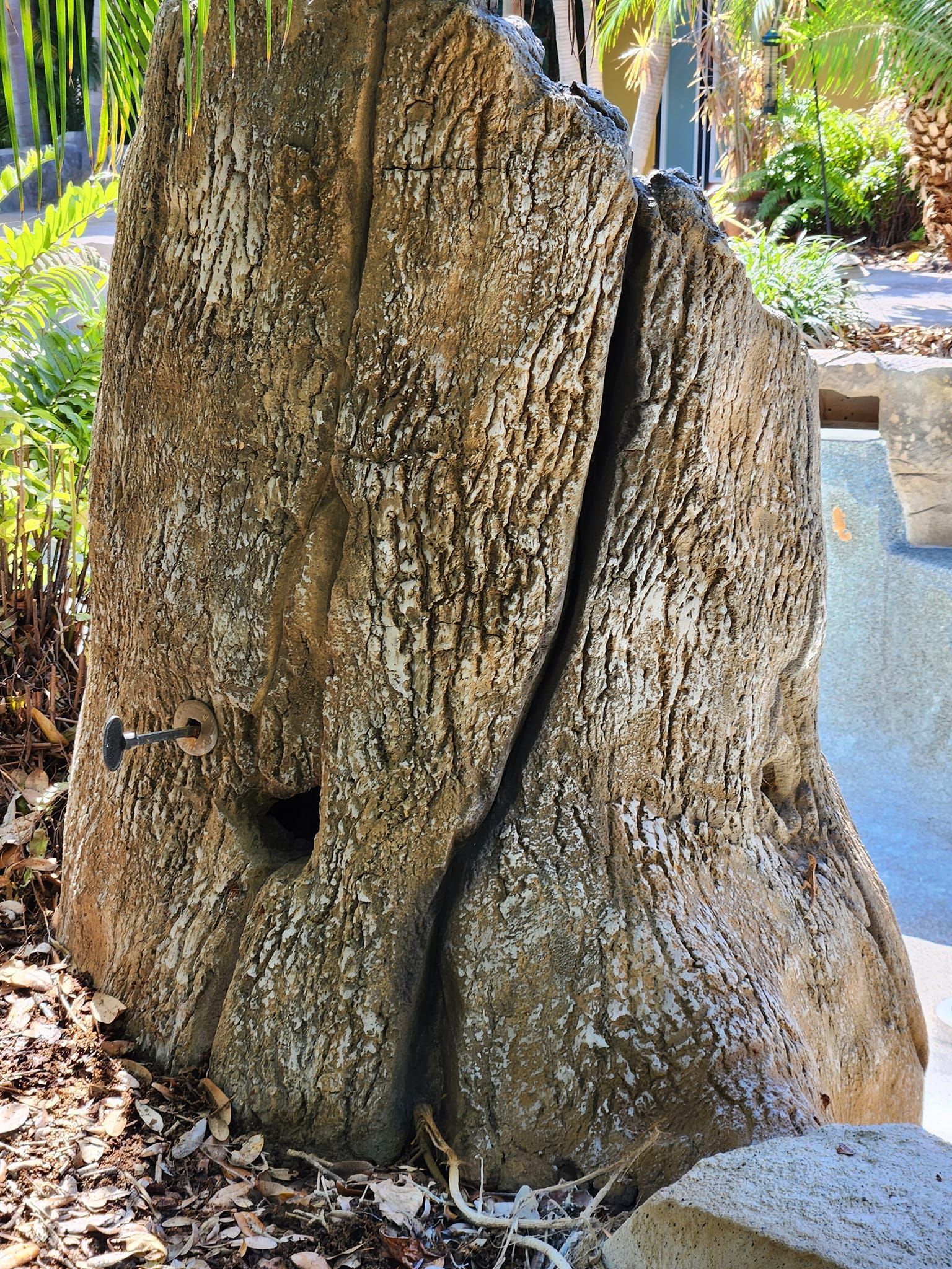Weathered tree stump with deep crack, outdoors.