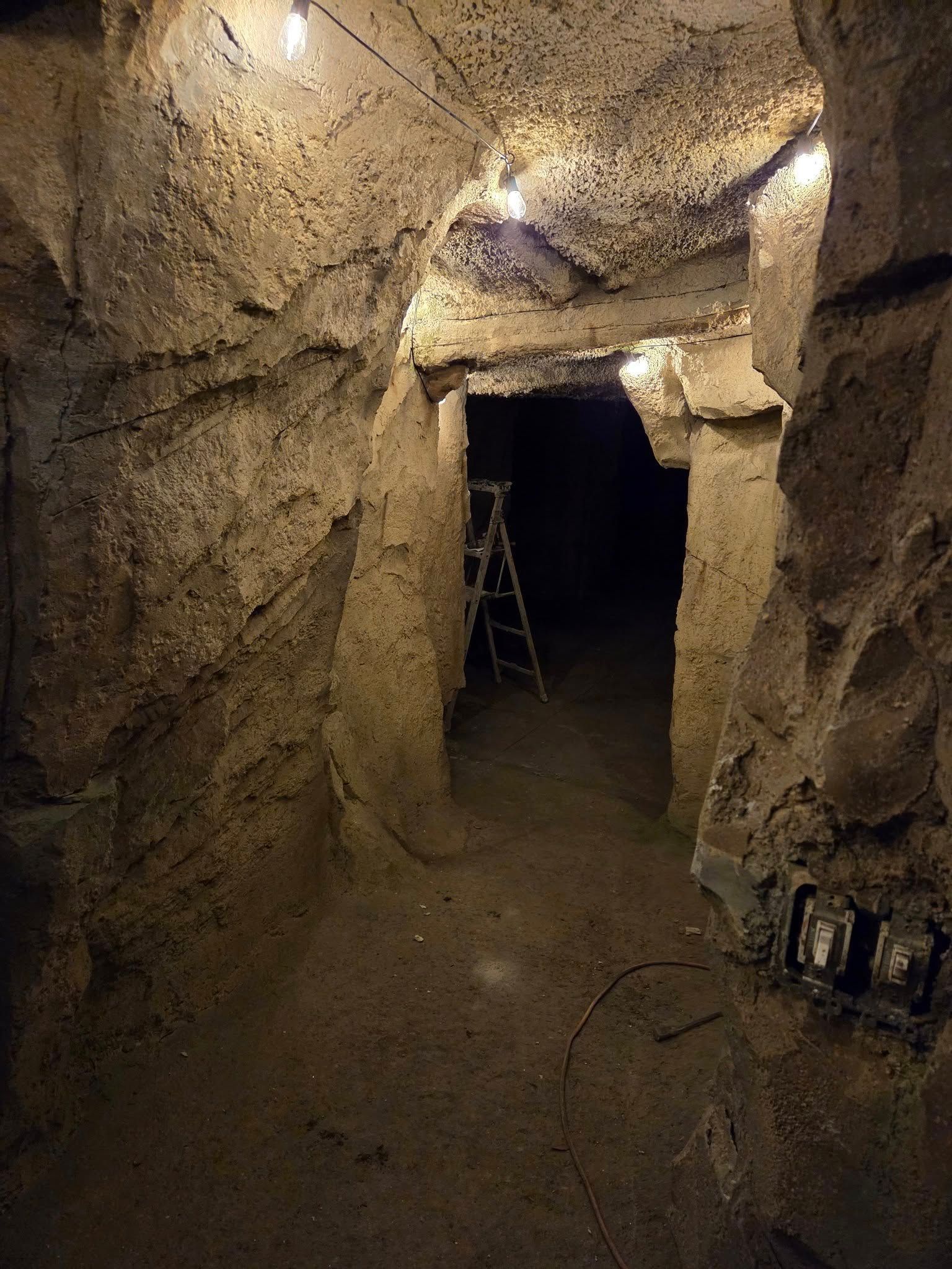 Tunnel carved in stone, with a ladder and dim lighting.