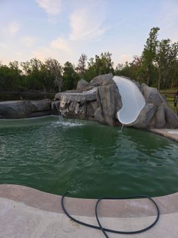 Swimming pool with rock waterfall and slide. Green water, tan concrete edge, trees in background.