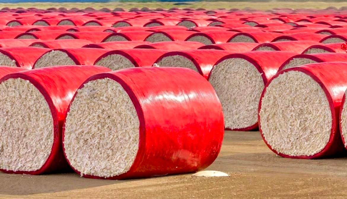Gin Yard Cotton Bales