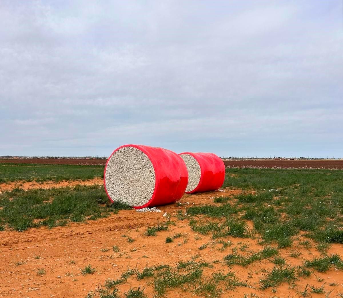 Test Rolls