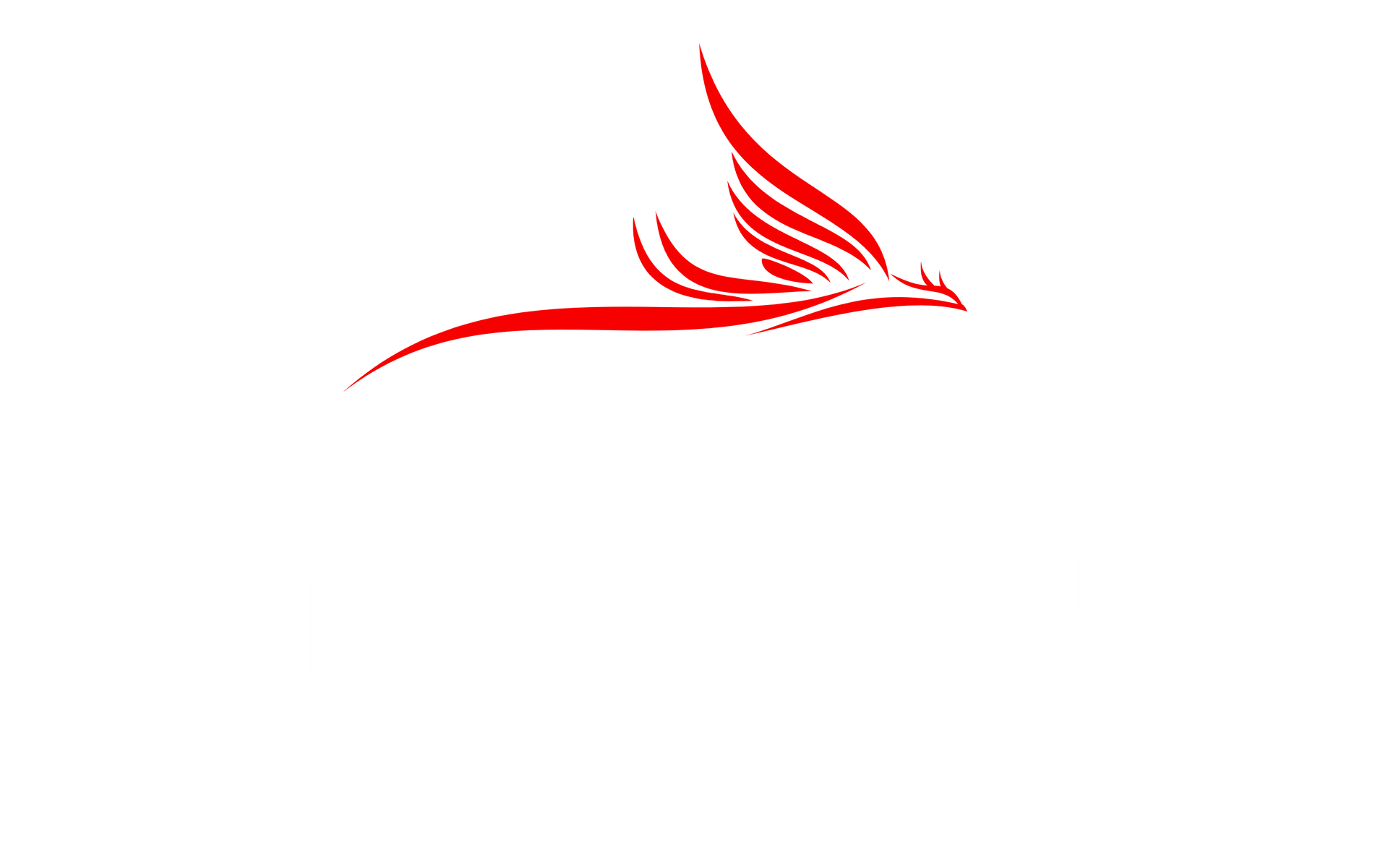Company Logo White