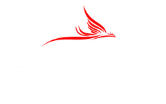 Company Logo White