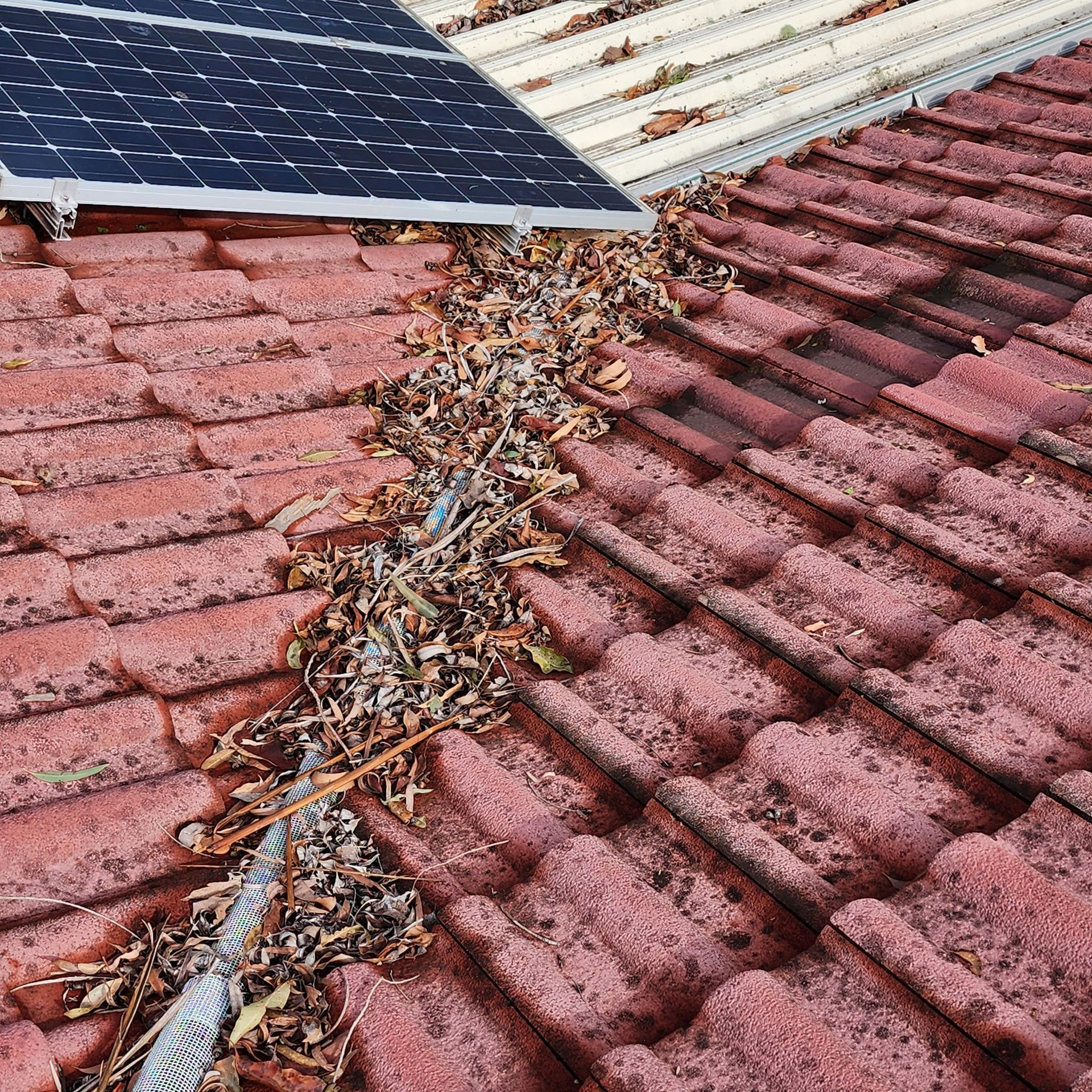 Weathered red roof tiles covered in leaves and debris, with a solar panel on the top left.