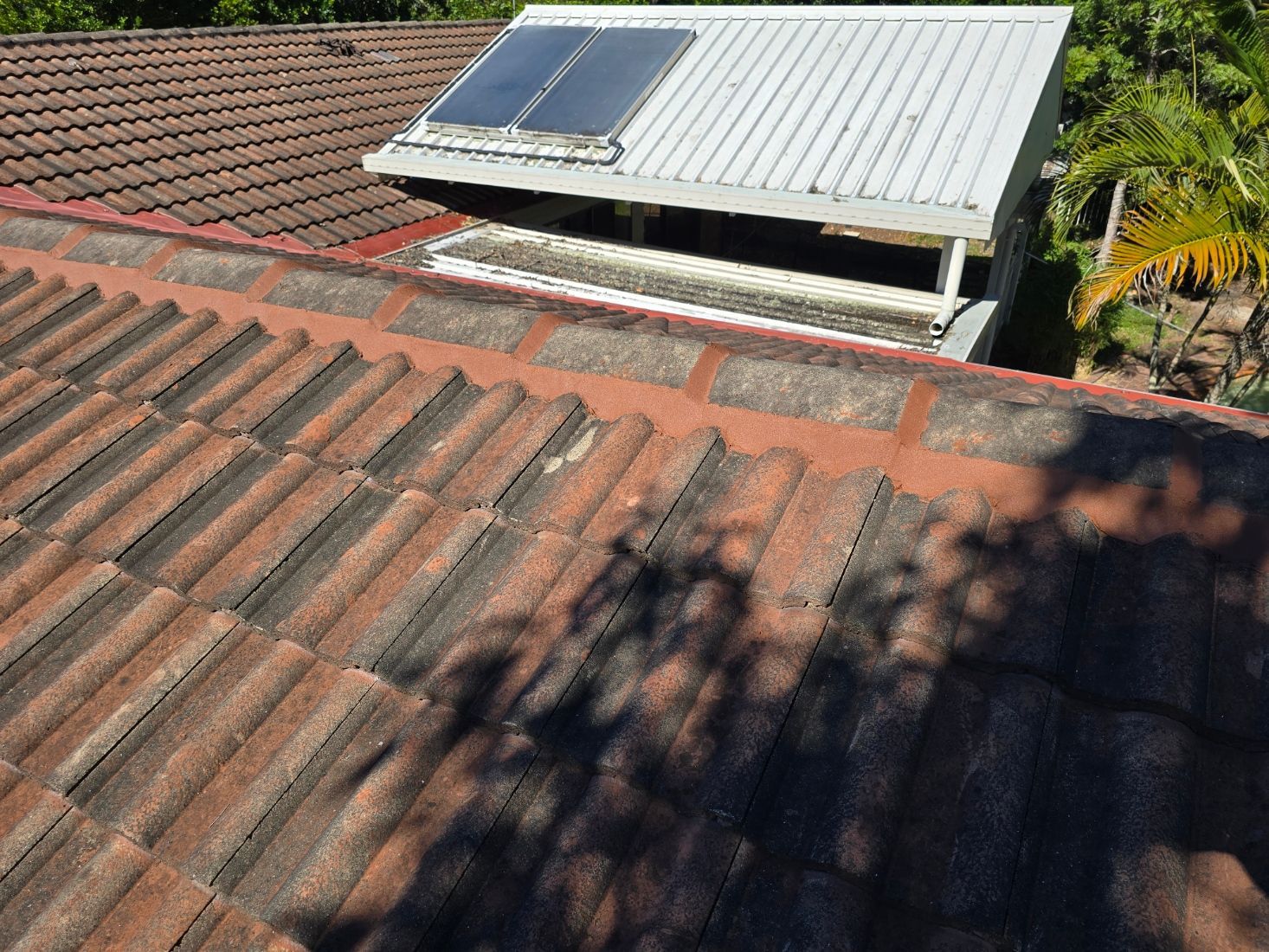 Roof with tiles, showing solar panels on a metal roof. Palm leaves and tree shadows cast patterns.