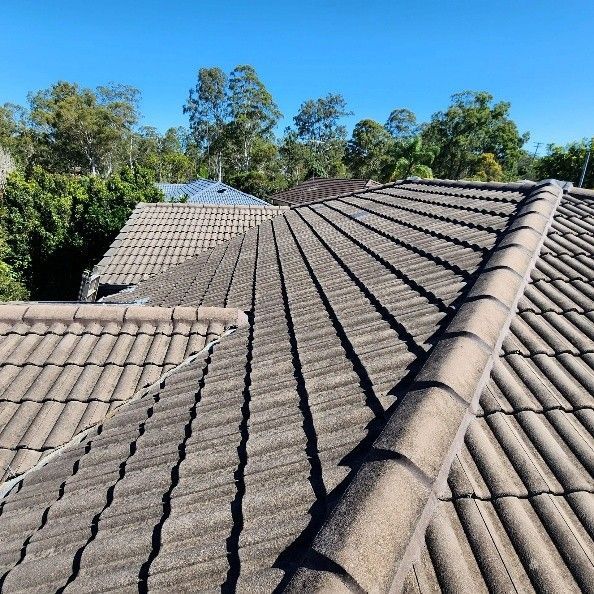 Tiled roofs stretching towards a clear blue sky, surrounded by lush green trees.