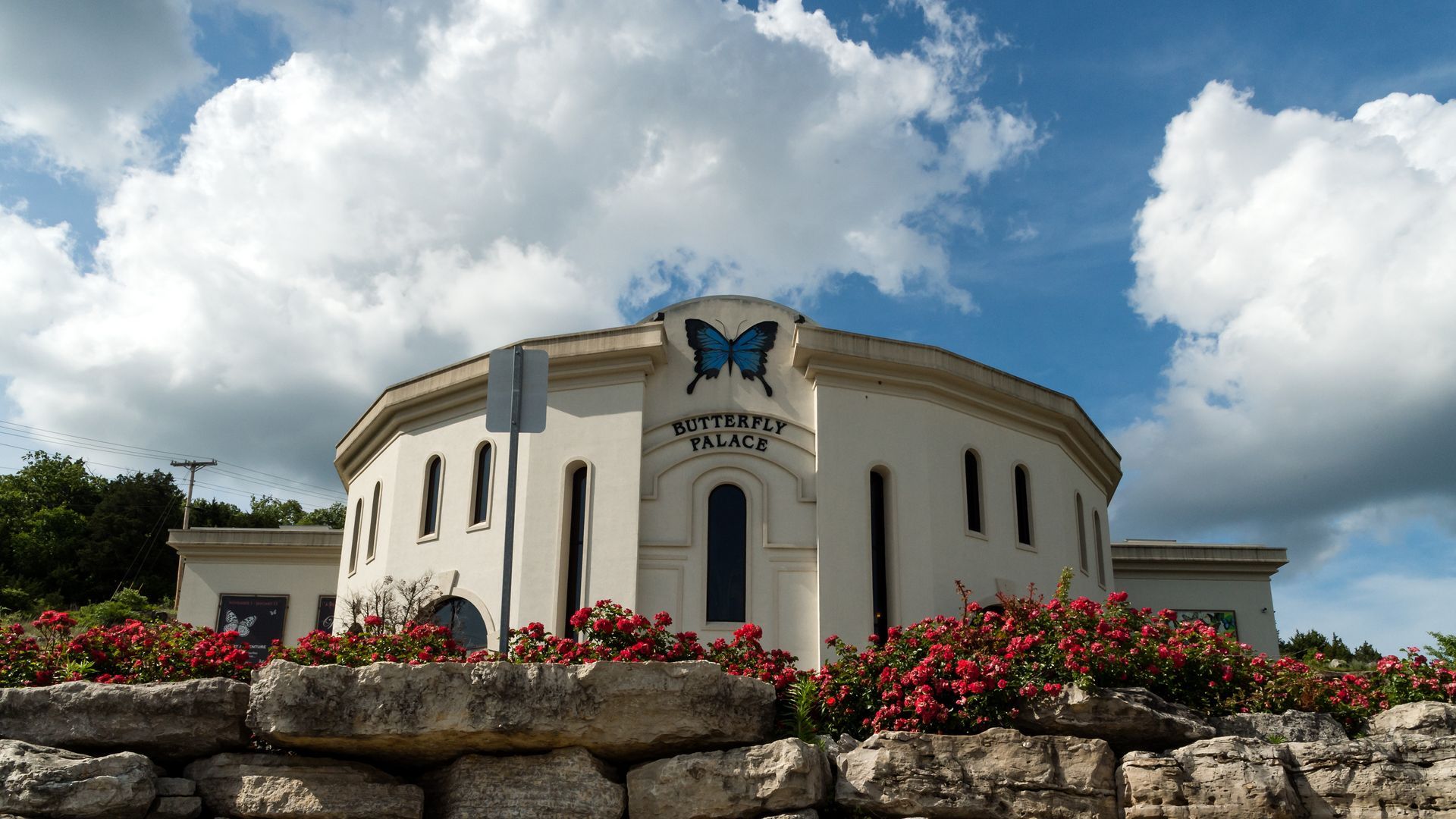 A white building with a blue butterfly on it