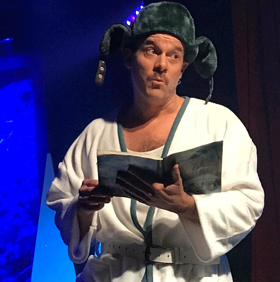 A poster that says wild bunch on it