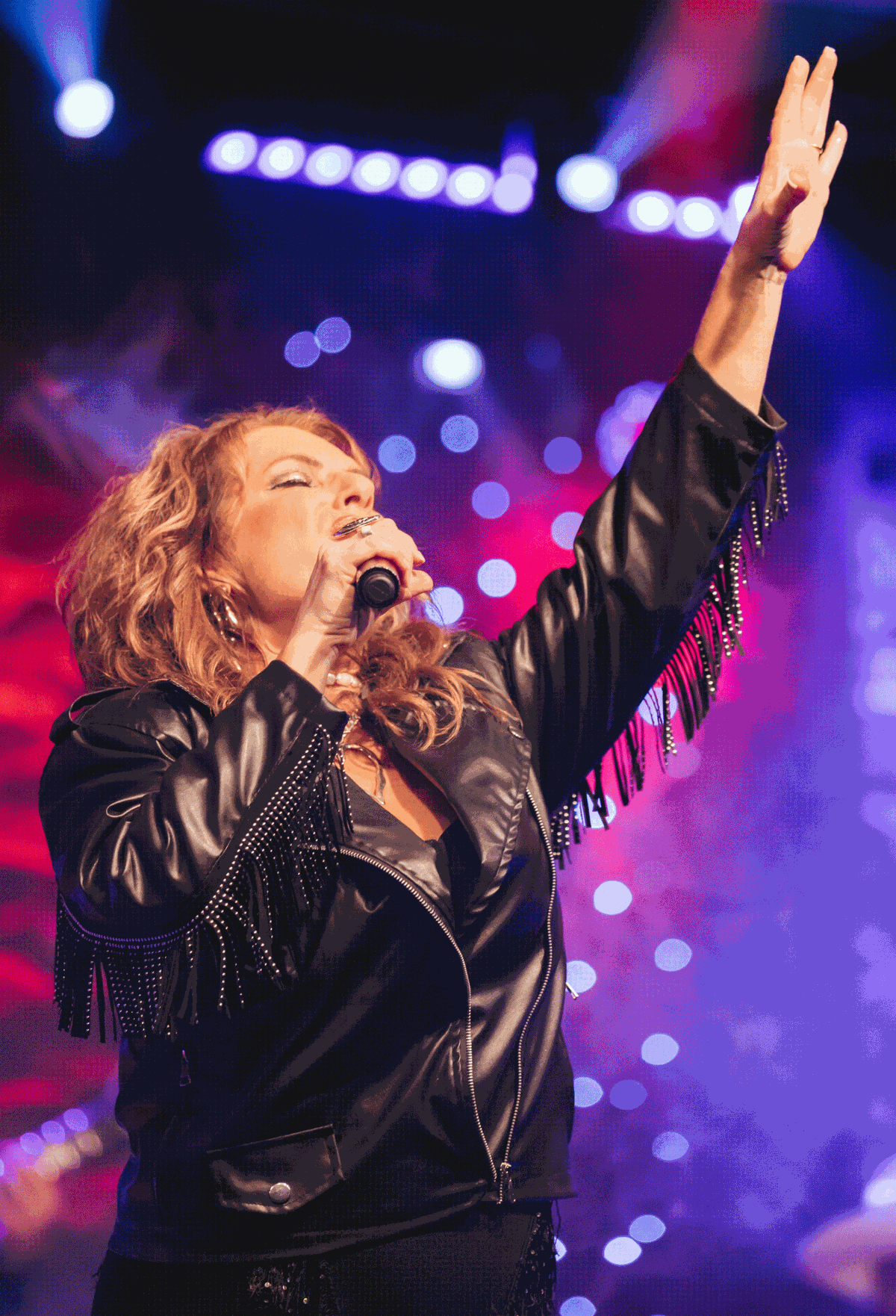 A poster that says wild bunch on it