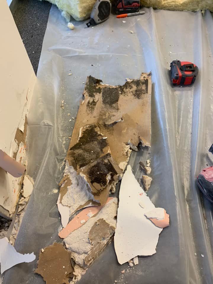 Debris from wall removal lies on a tarp; includes paint, plaster, and dark, possibly moldy sections; tools nearby.