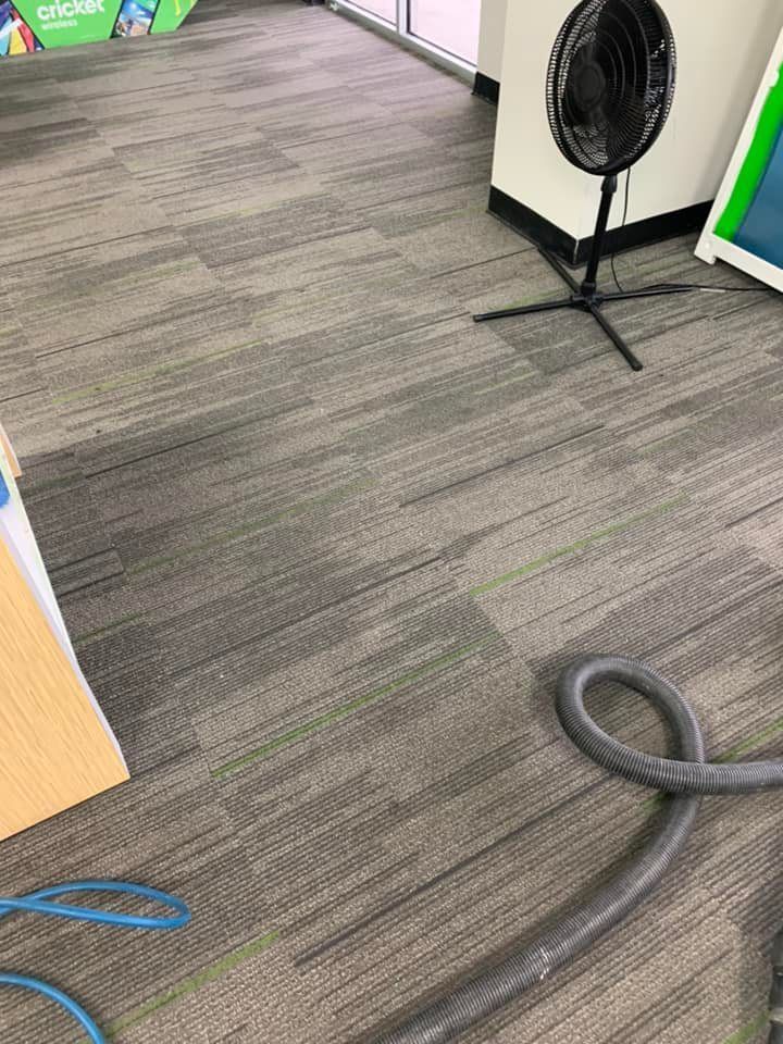 Gray carpet being cleaned with a hose, with a fan in the background.