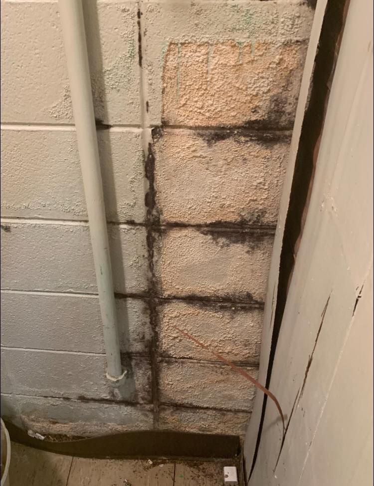 White cinder block wall with water damage and dark mold. A vertical pipe runs along the wall.