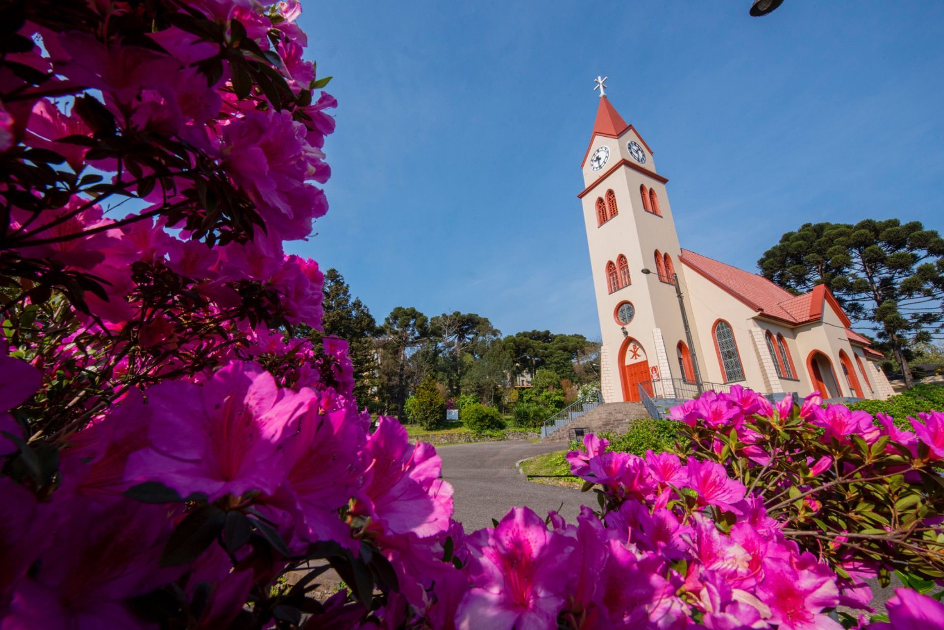 Flores cor-de-rosa emoldurando uma igreja branca com telhado vermelho sob um céu azul claro.