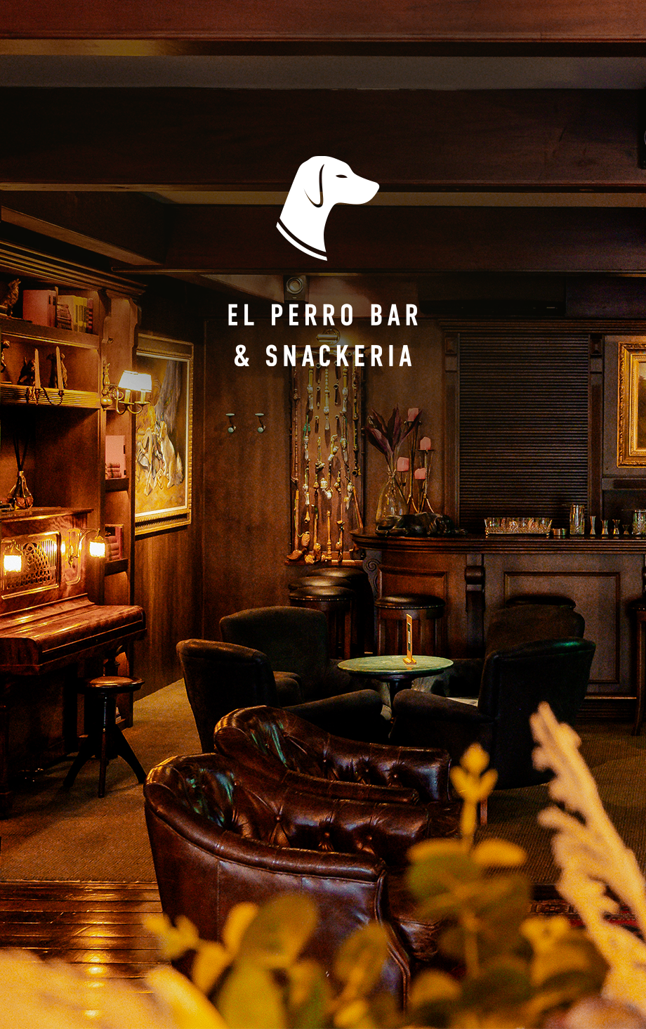Bar com iluminação suave e ambiente que aceita cães, com um logotipo de cachorro e uma placa com os dizeres “El Perro Bar & Snackeria”.