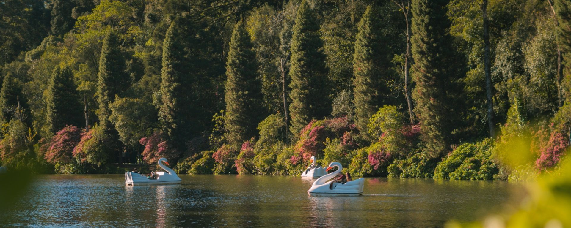 Duas pessoas em barcos brancos em um lago calmo, cercado por uma densa floresta verde e penhascos.