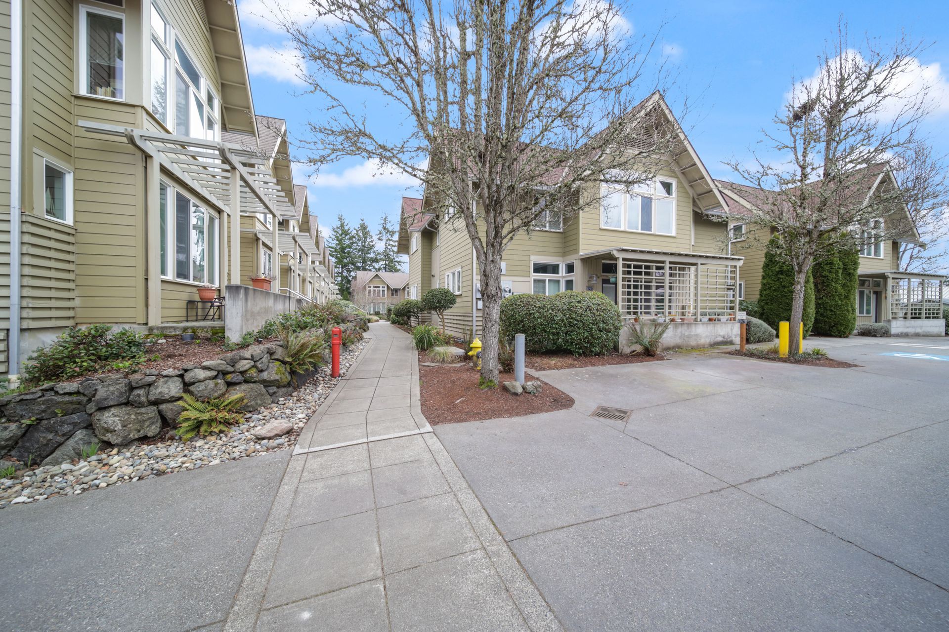 Residential street with beige houses, stone wall, leafless trees, and a sidewalk beside the road
