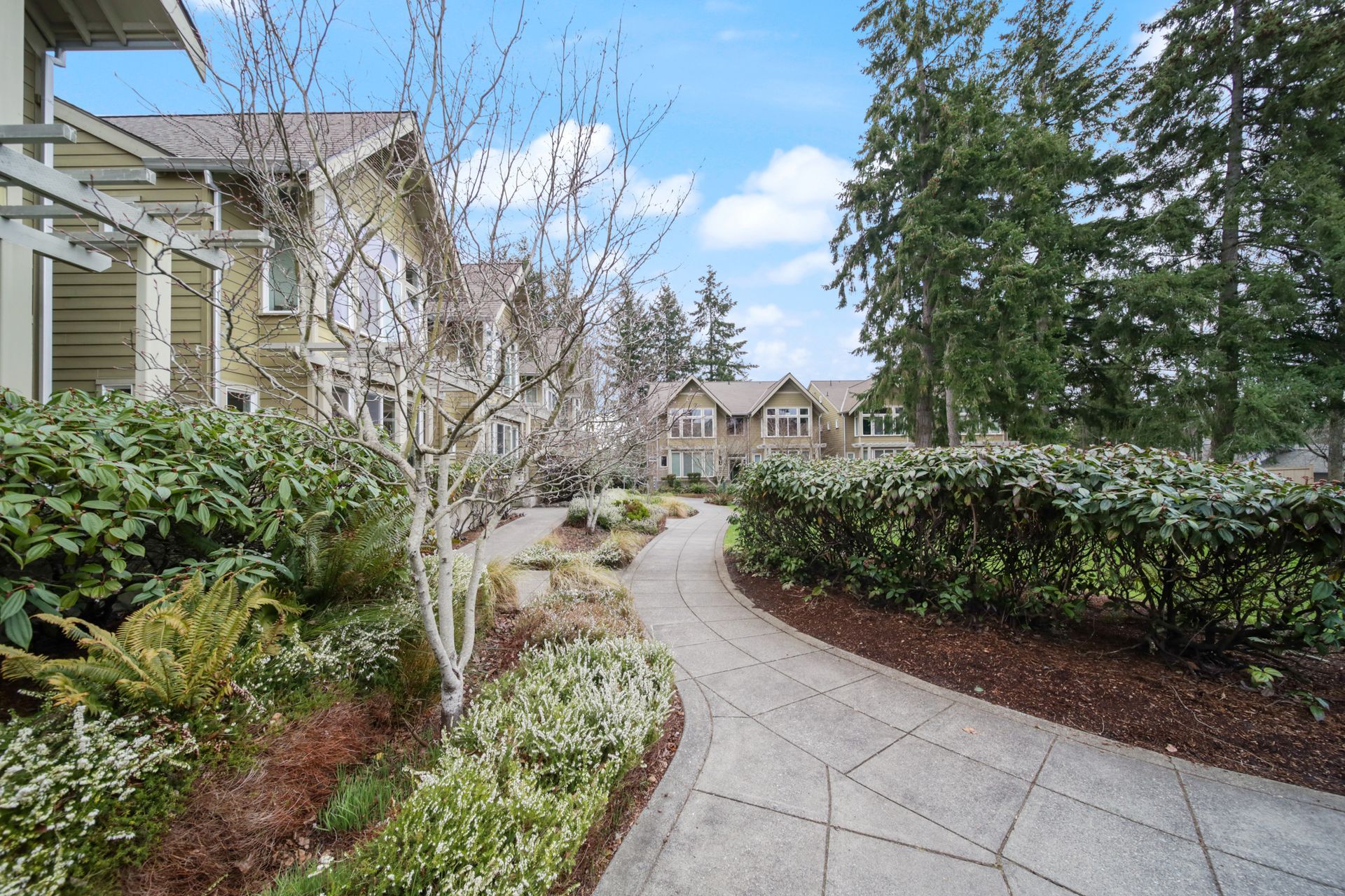 Curved stone walkway beside landscaped shrubs and trees leading past townhomes under a blue sky