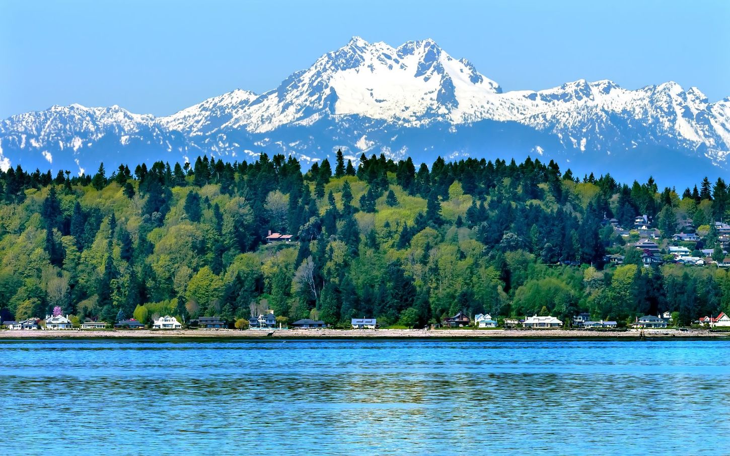Snowy mountain peak above a forested lakeshore under a blue sky.