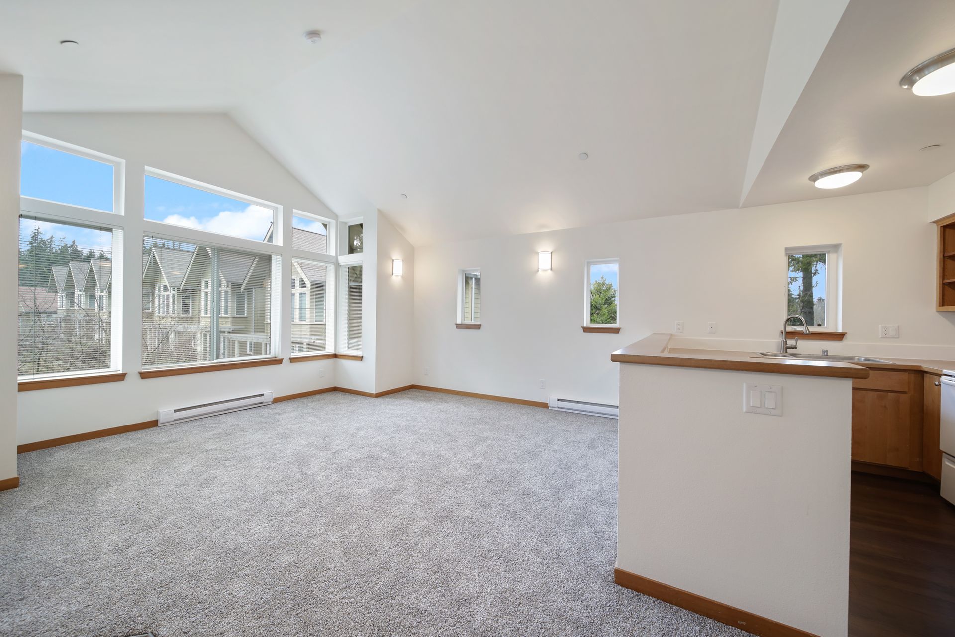 Bright empty living room with large windows, carpeted floor, and open kitchen counter