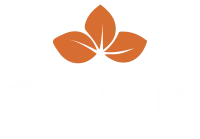 Company Logo - Click to go to Home Page