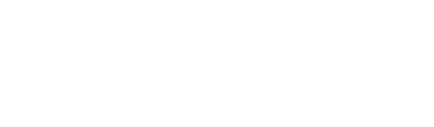 White blank rectangle on a transparent background