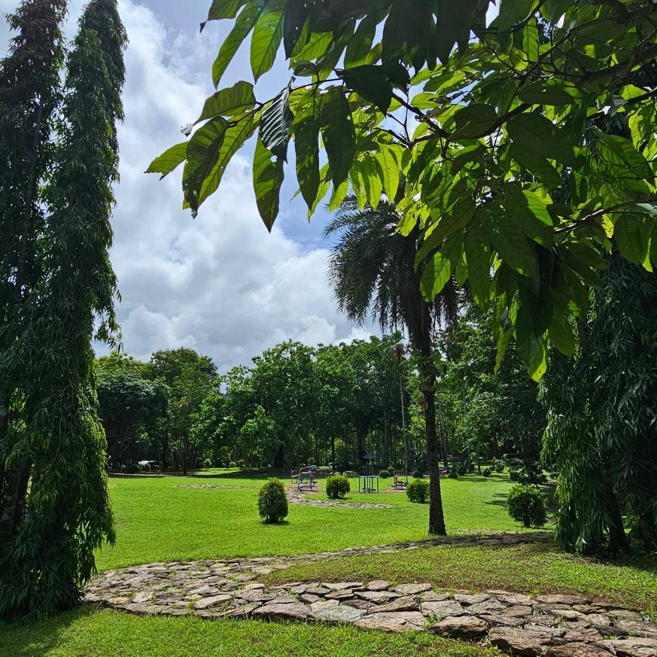 A lush green park with trees and a stone path