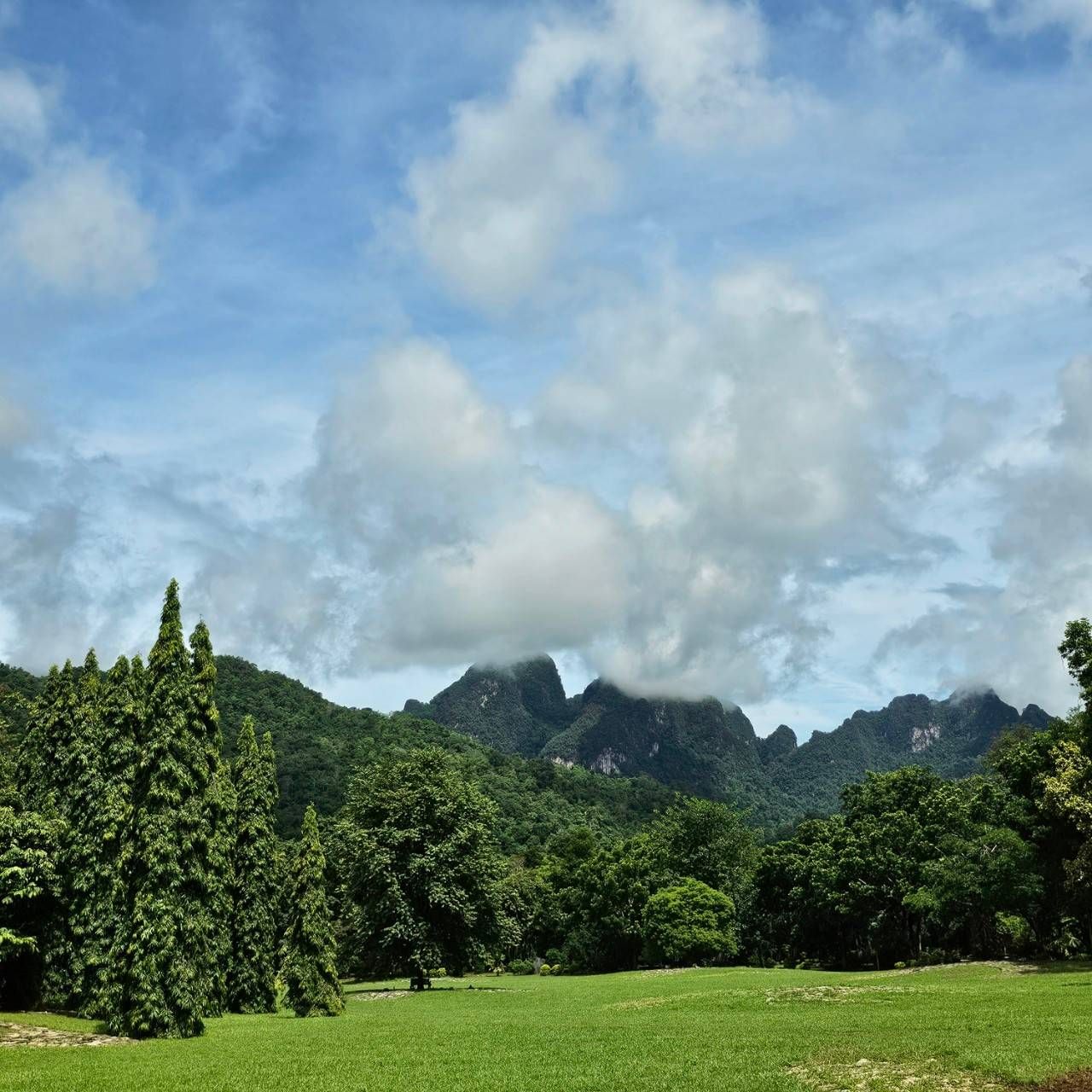 A lush green field with trees and mountains in the background