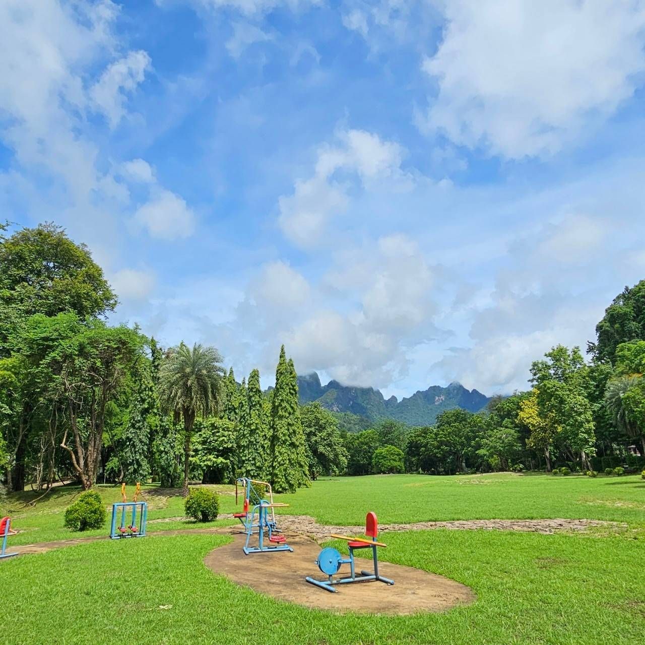 A playground in a park with a blue sky and trees in the background