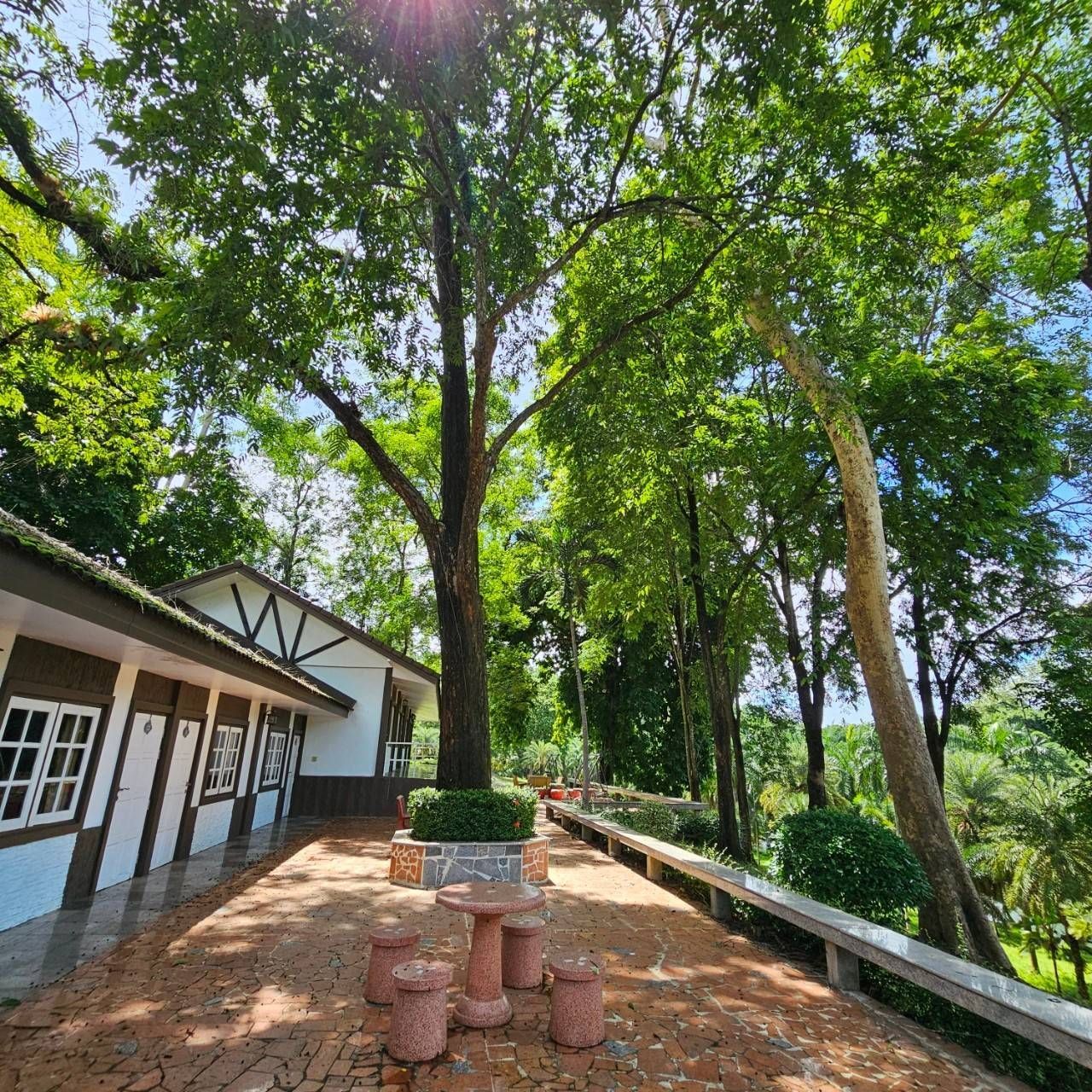 A table and chairs in front of a house surrounded by trees