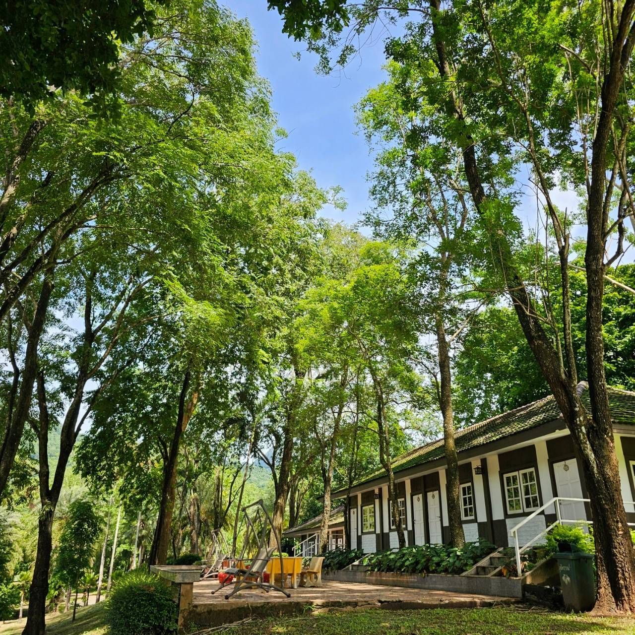 A house is surrounded by trees on a sunny day
