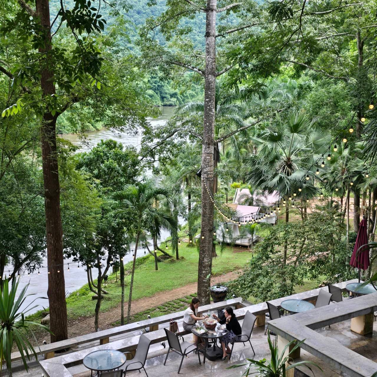 A group of people are sitting at tables in the woods near a river.