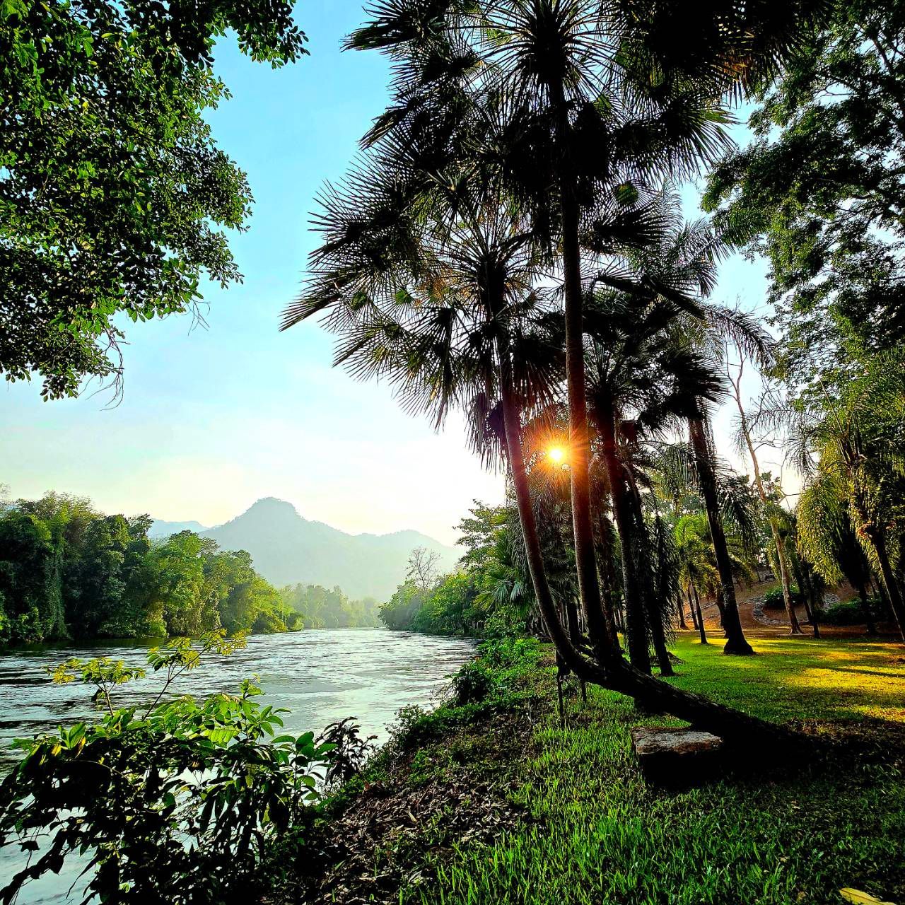 The sun is shining through the trees near a river