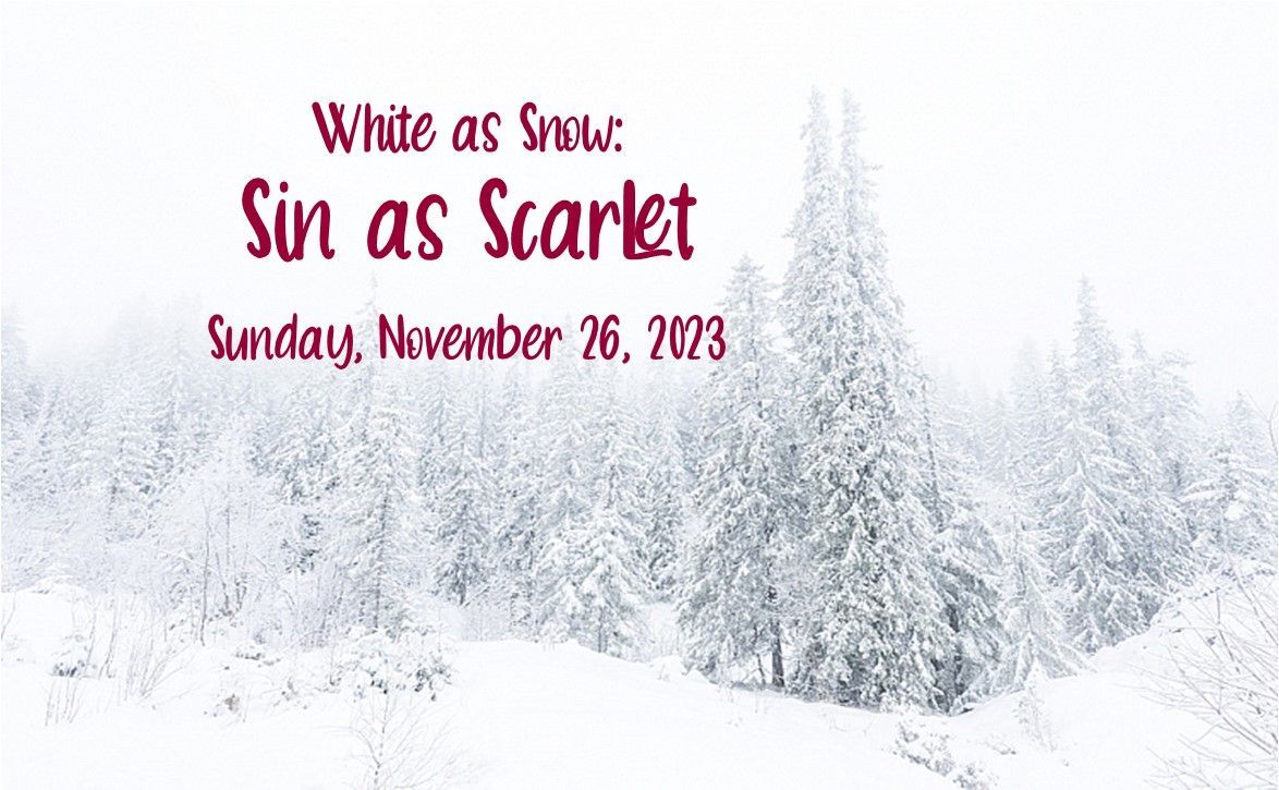 Wintery church bulletin graphic with snowy trees and text: “White as Snow: Sin as Scarlet” and “Sunday, November 26, 2023”