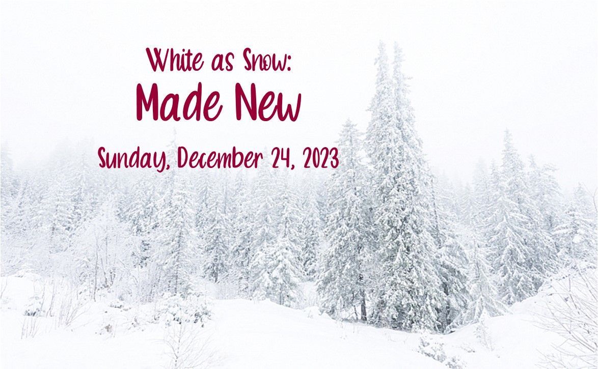 Snowy forest with text reading “White as Snow: Made New” and “Sunday, December 24, 2023”