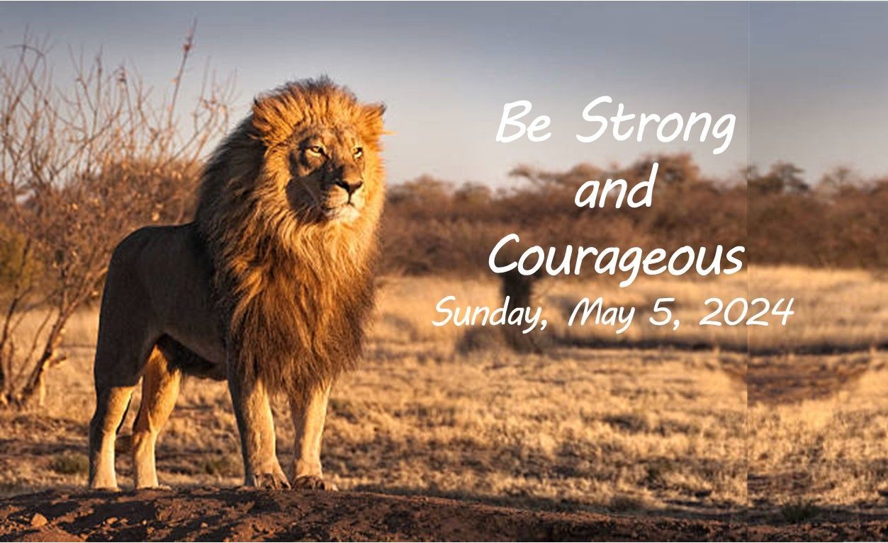 Lion standing in dry grass with text: “Be Strong and Courageous, Sunday, May 5, 2024.”