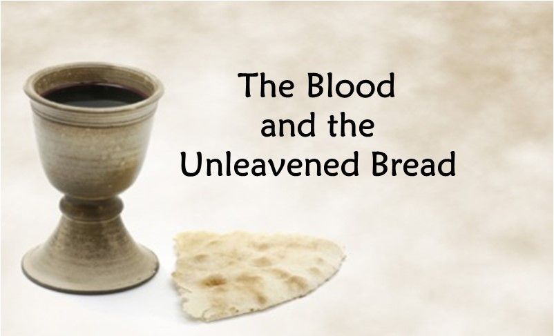 A cup of wine and a piece of unleavened bread