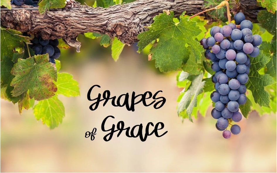 A bunch of grapes hanging from a vine with the words `` grapes of grace '' written on it.