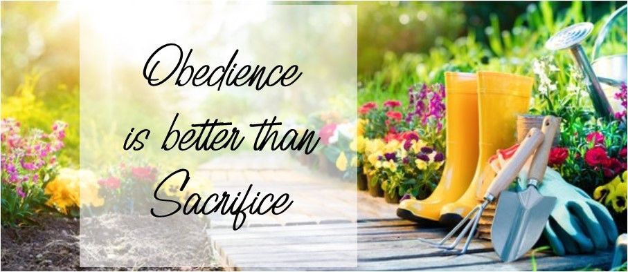 A picture of a garden with a quote that says obedience is better than sacrifice.