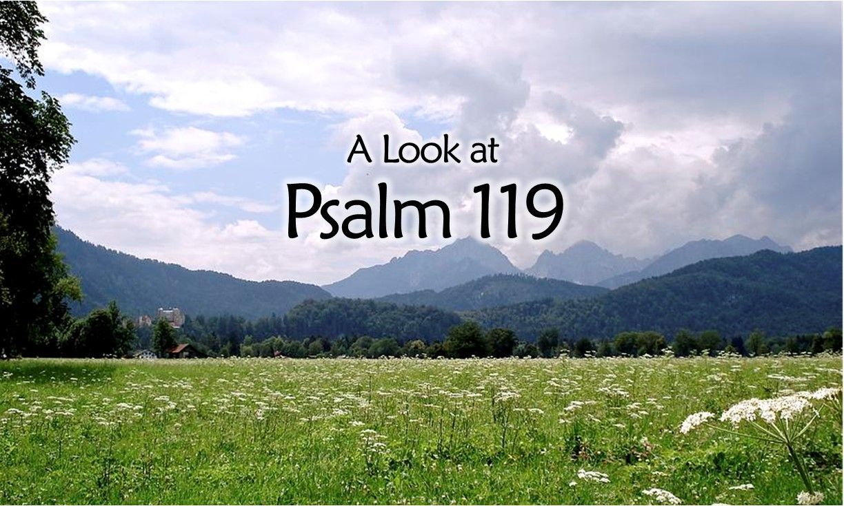 Mountain meadow with text “A Look at Psalm 119” over a cloudy sky.