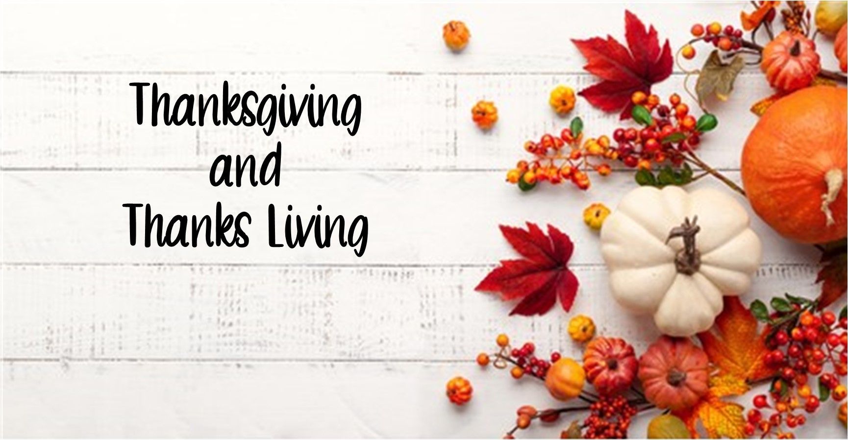 Thanksgiving and autumn decor with pumpkins, red leaves, berries, and a thank-you message on a white wooden background